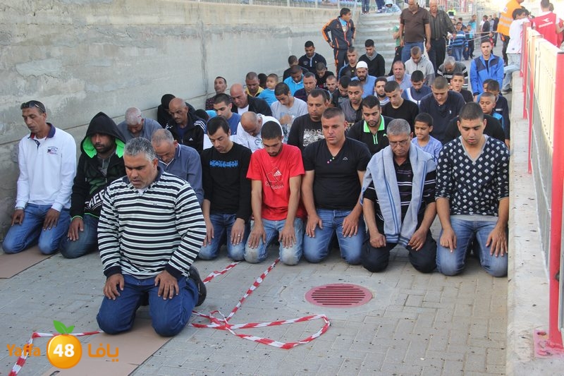 kora ludj 3151 (16).JPG